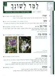 גיליון למד לשונך 83