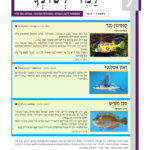 גיליון למד לשונך 96