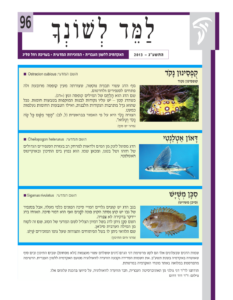 גיליון למד לשונך 96