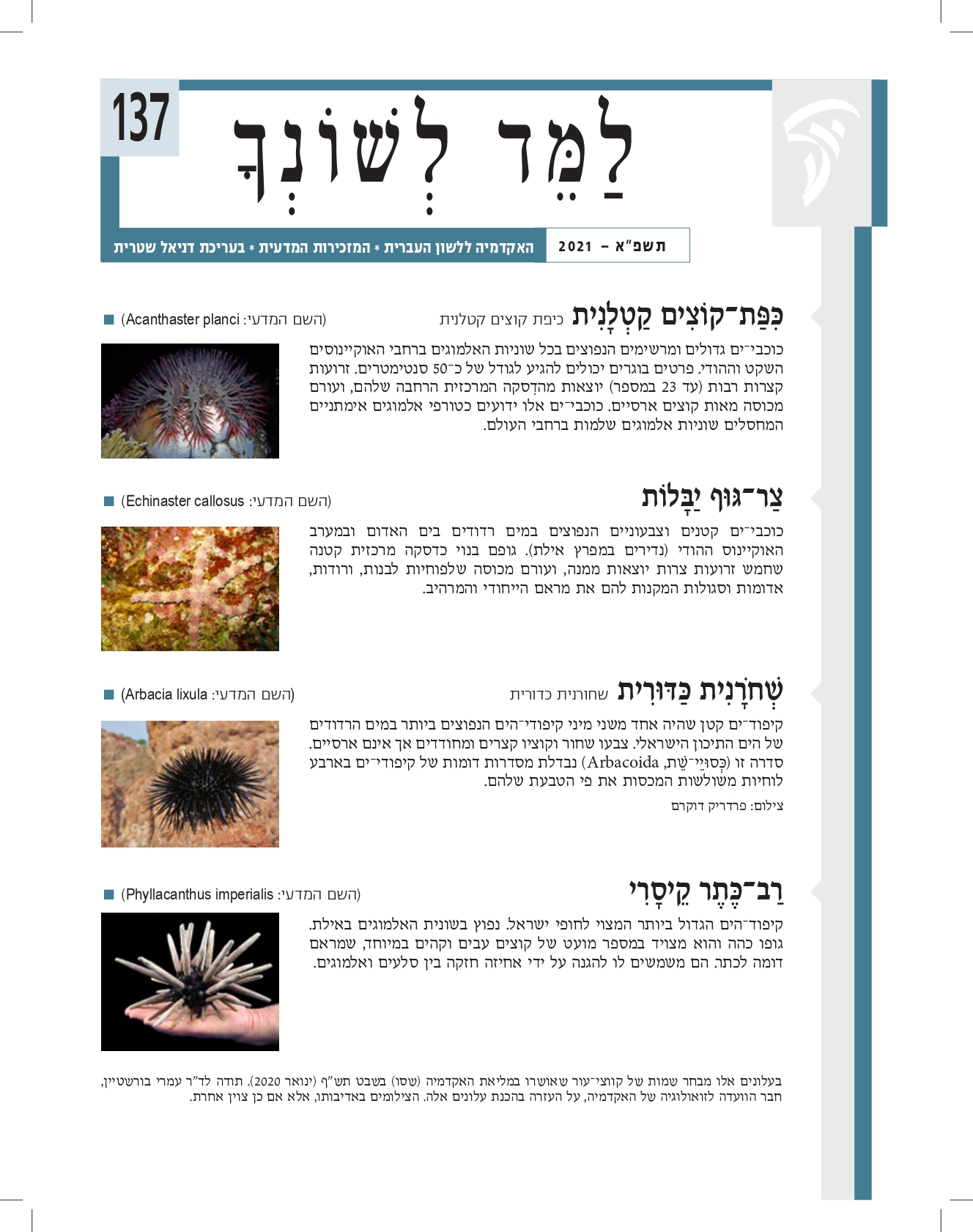למד לשונך גיליון 137