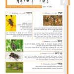 שער גיליון למד לשונך 123