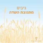 איור שדה שיבולים והכיתוב: ניבים מתנובת השדה