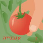 איור של יד אוחזת בעגבנייה וכיתוב עגבנייה