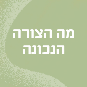 מה הצורה הנכונה