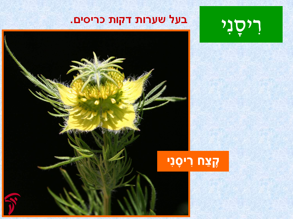 tsmahim-30