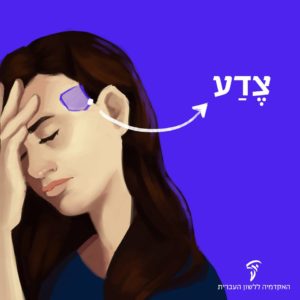 צֶדַע (רַקָּה)
