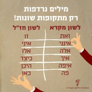 כותרת: מילים נרדפות רק מתקופות שונות זאת (לשון מקרא) זו (לשון חז״ל) אינני (לשון מקרא) איני (לשון חז״ל) אלה (לשון מקרא) אלו (לשון חז״ל) איך (לשון מקרא) כיצד (לשון חז״ל) איפה (לשון מקרא) היכן (לשון חז״ל) פה (לשון מקרא) כאן (לשון חז״ל)